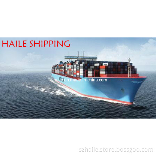 FCL Sea Freight From Guangzhou to Italy